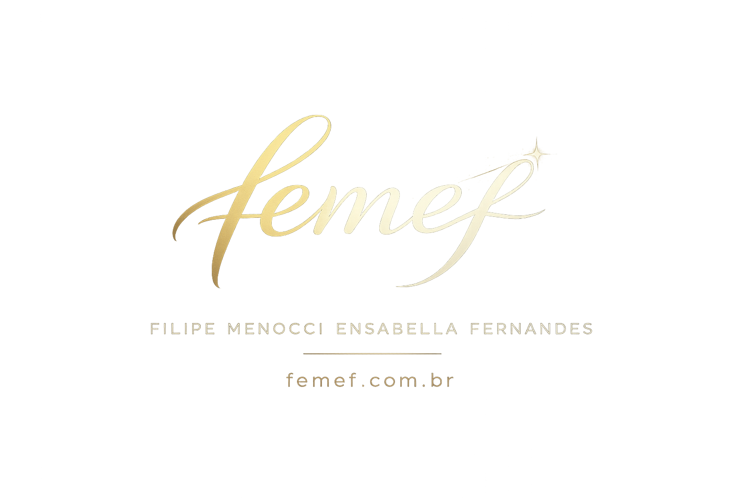 Logo FEMEF